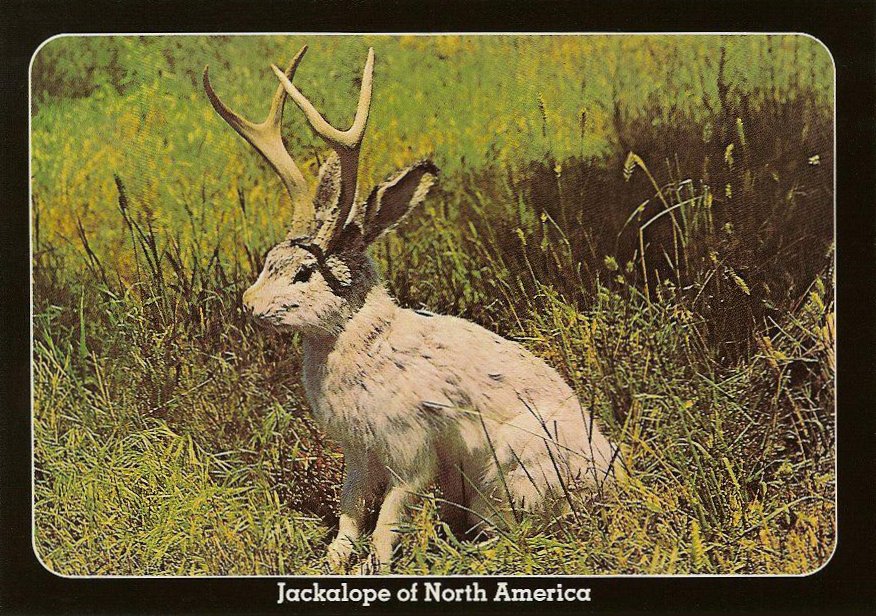 Seated Archives Chuck's Toyland